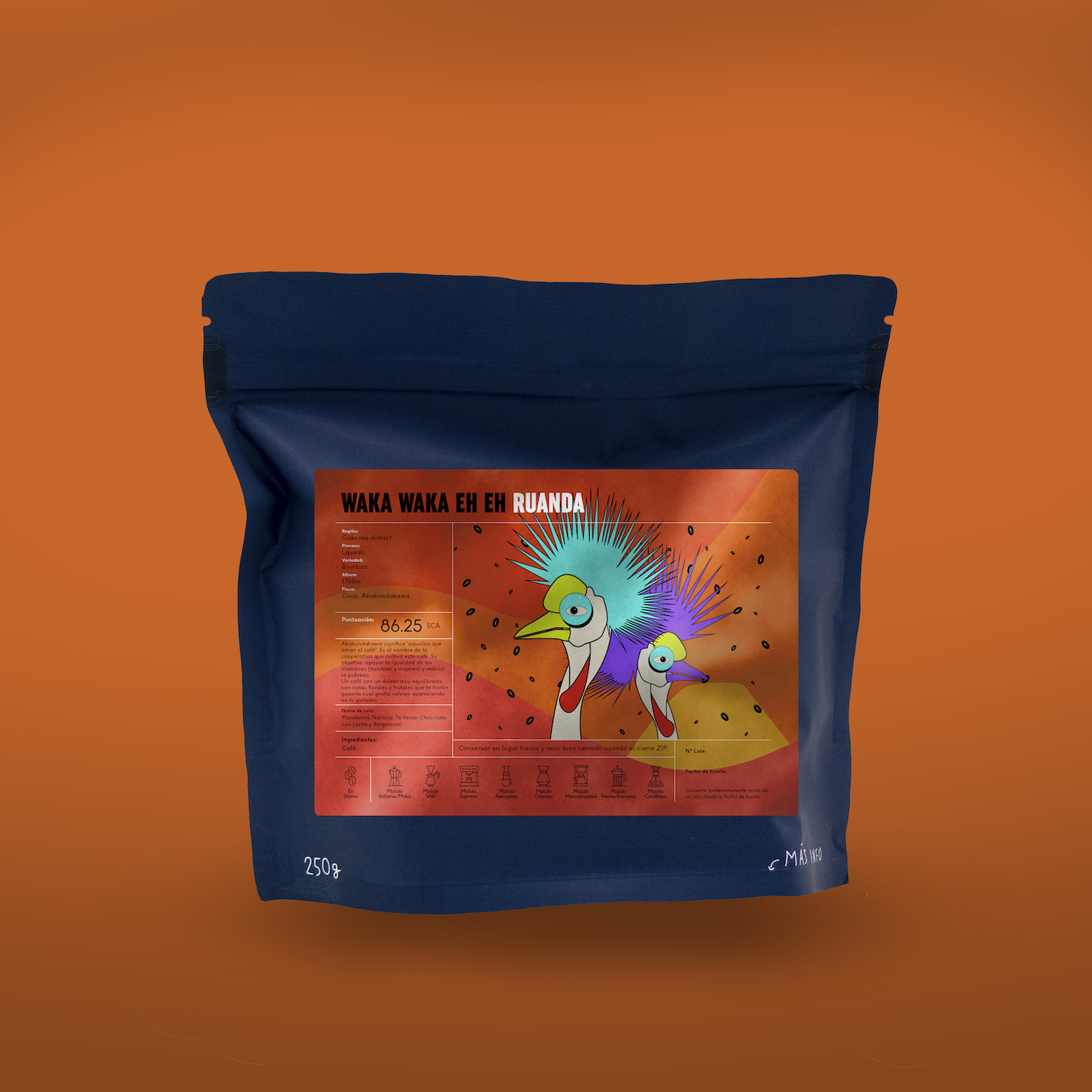 Coffee Masters Apertura 2023